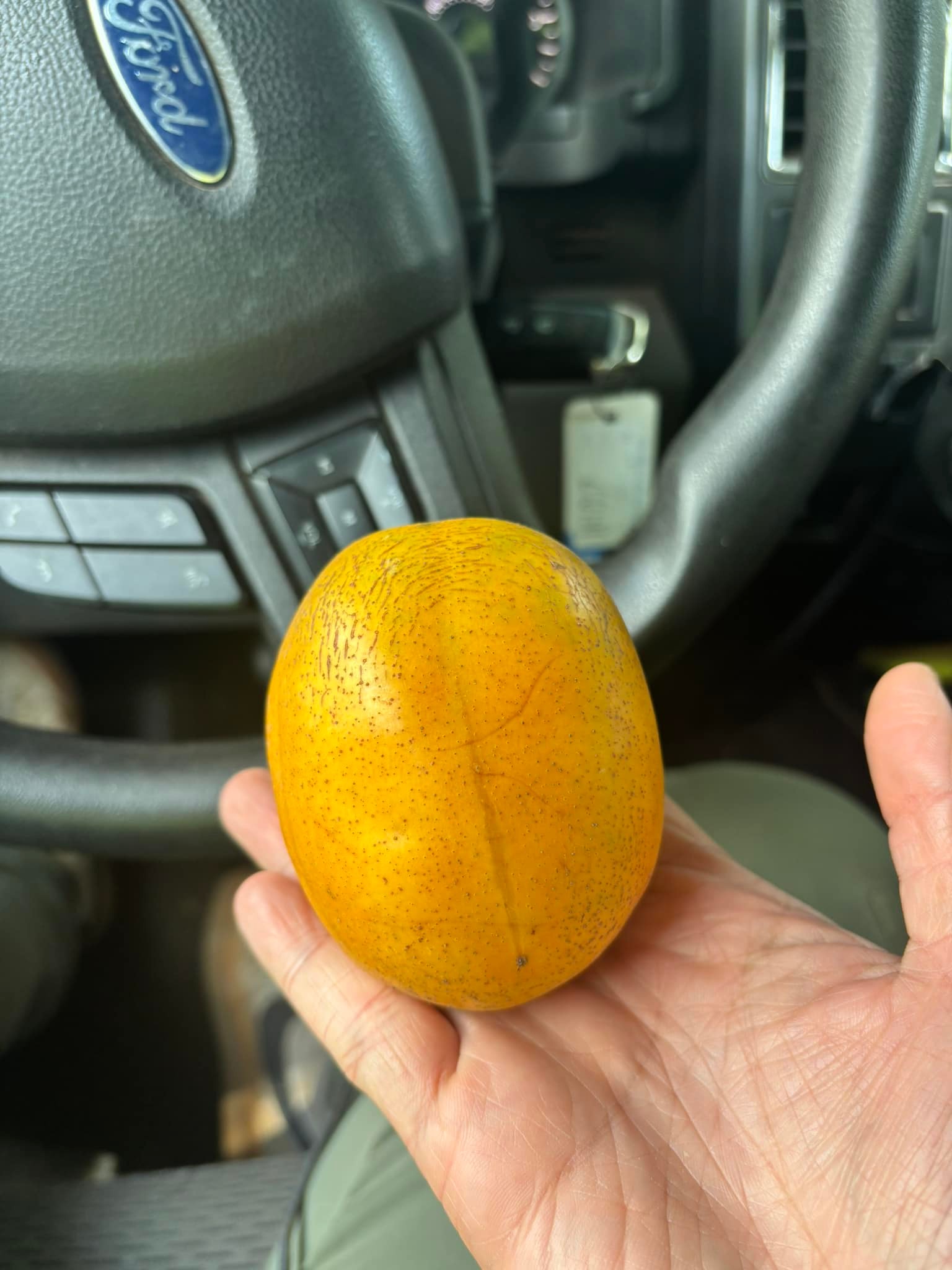 What is the ID of this fruit?