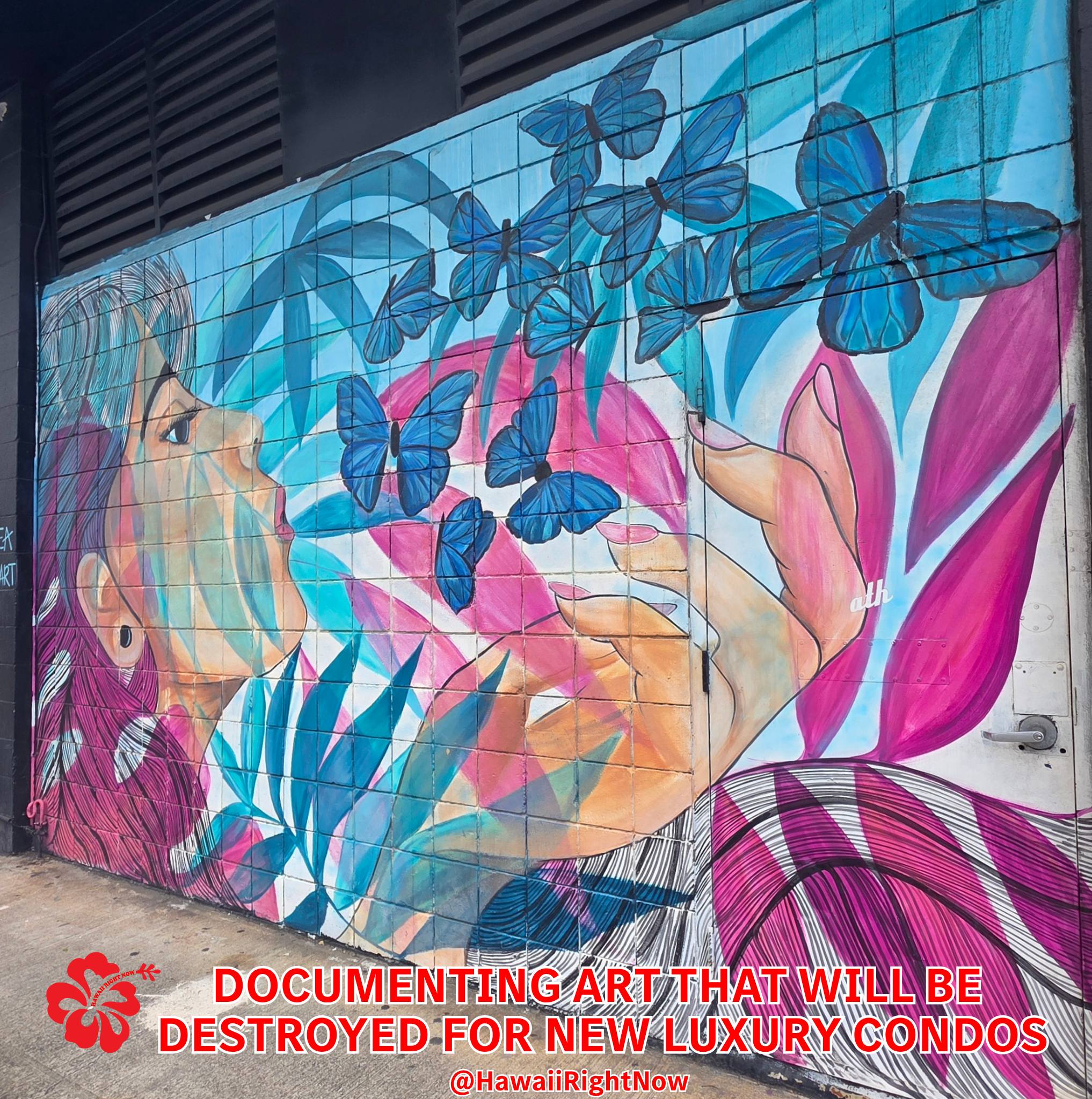 Kakaako's iconic Cooke Street murals to be destroyed for luxury condos