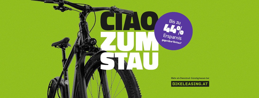 mountainbike luftpumpe ROCKBROS Handpumpe Schrader&Presta Ventile aus Aluminium – ROCKBROS-DE Screen Used Mold FREDDY BasicColour:Grey Inhalt:100 Stück/Box