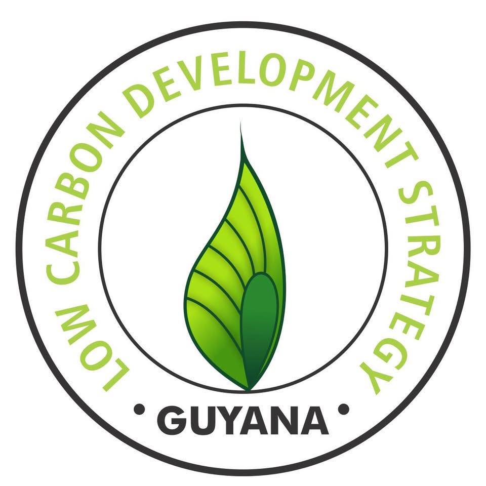 Low Carbon Development Strategy | Georgetown