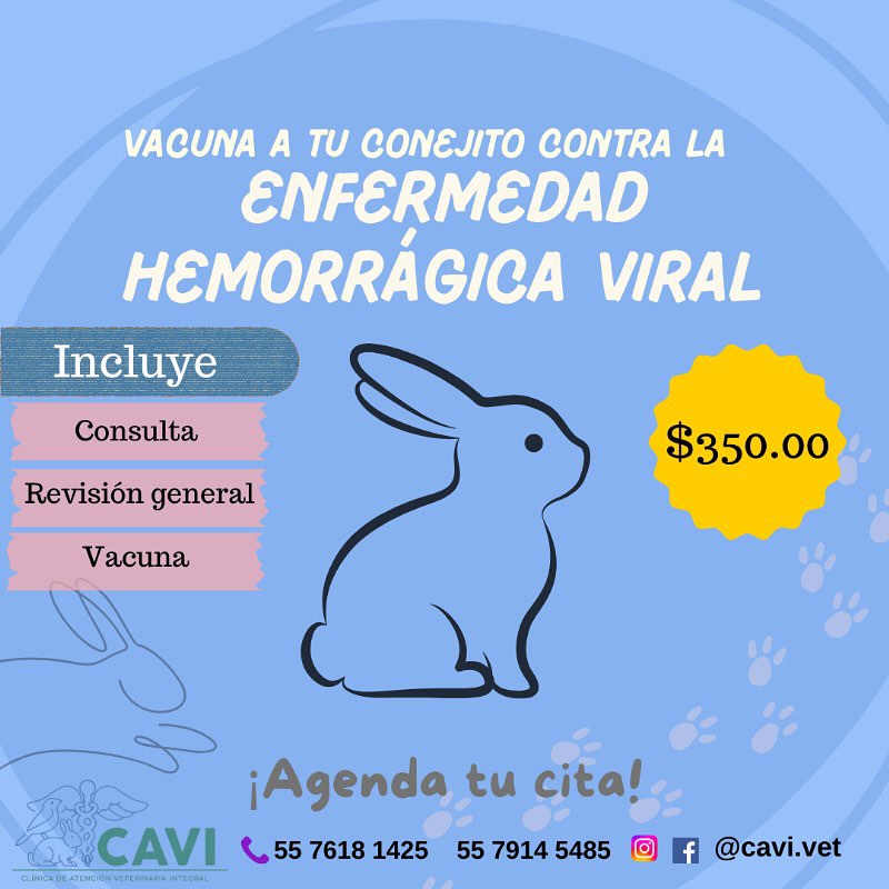 CAVI | Mexico City