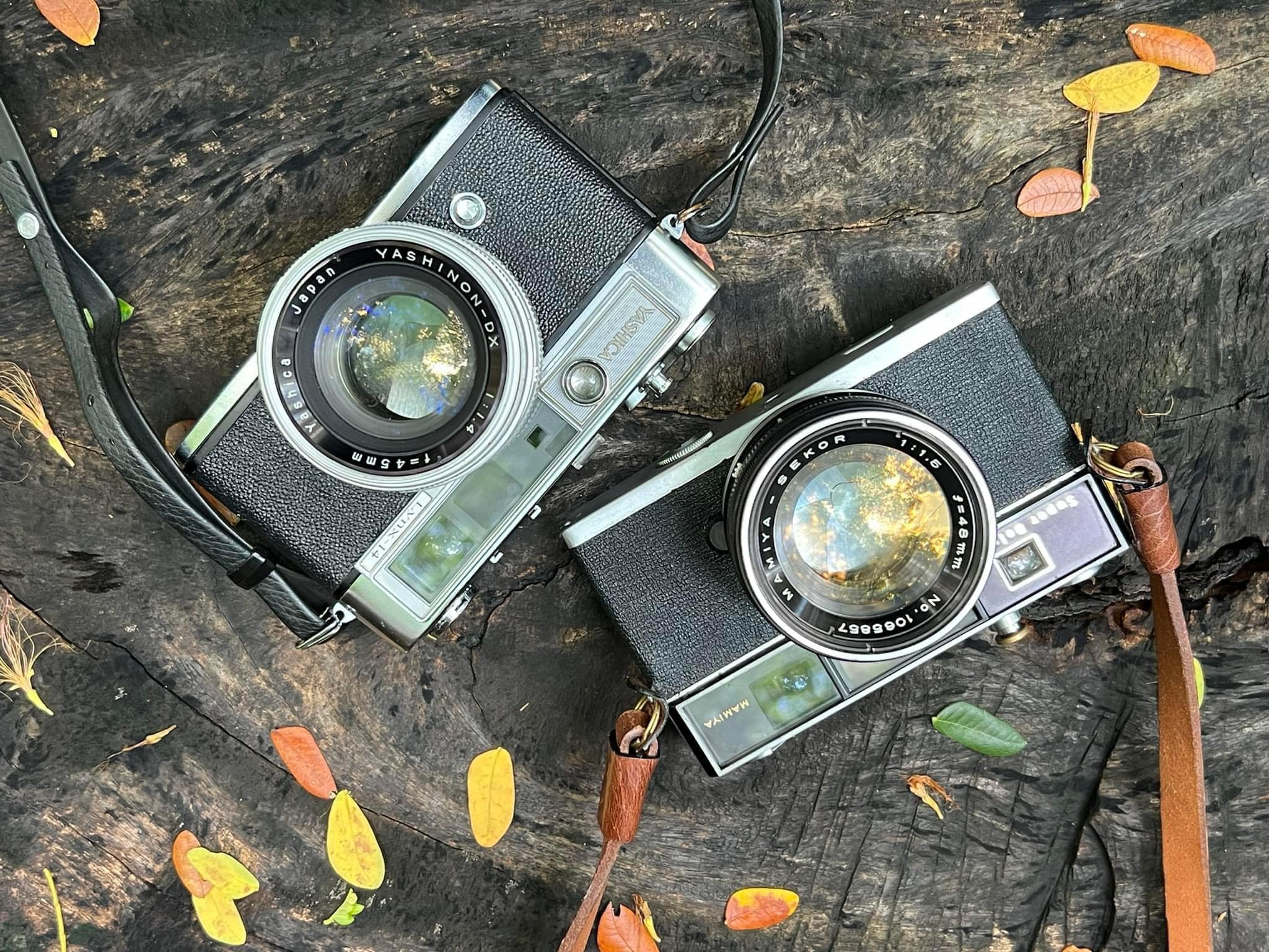 Mamiya Super Deluxe 1.5 & Yashica lynx-14