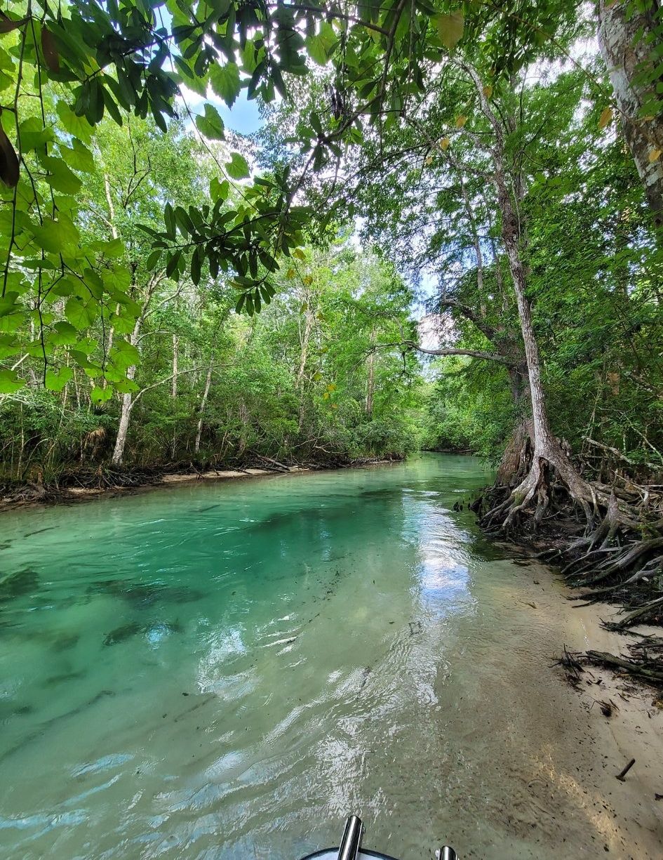 La Guera - My FAVORITE spring-fed river Weeki Wachee 🥰 | Facebook