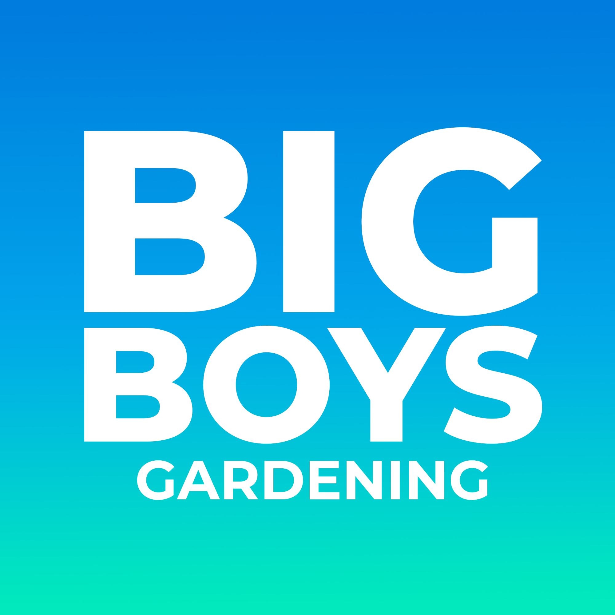 Big Boy Entertainment's archived website and channel offerings