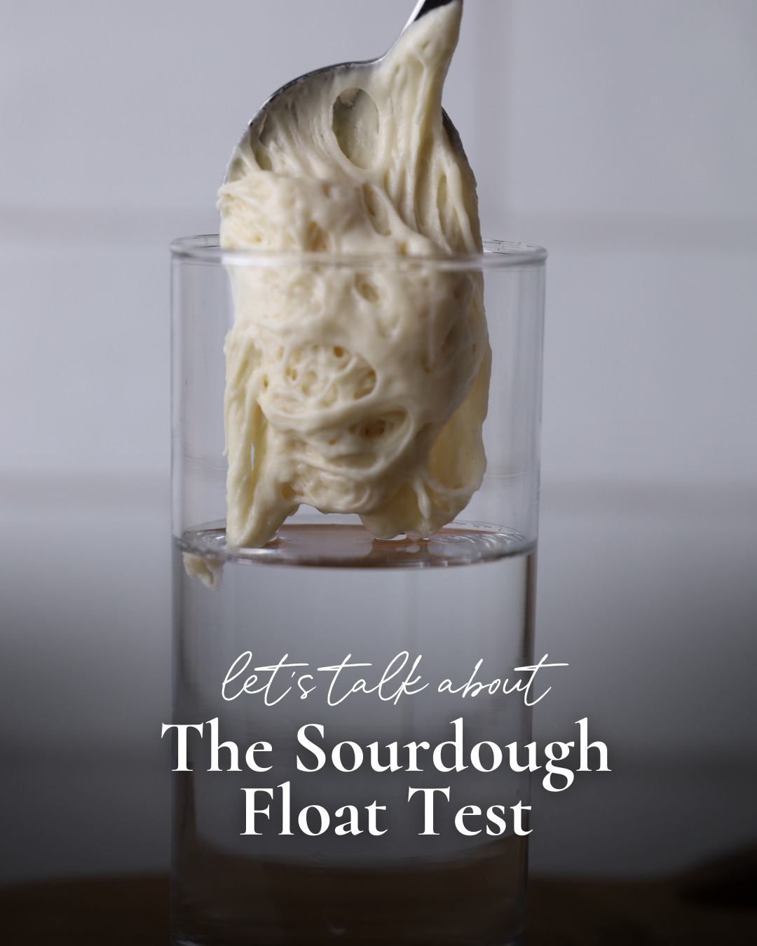 The Pantry - The sourdough float test involves taking a scoop of ...