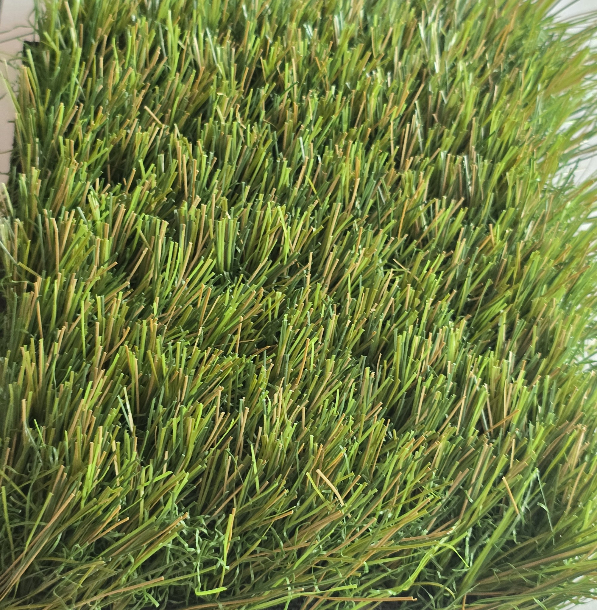 PASTO Sintetico