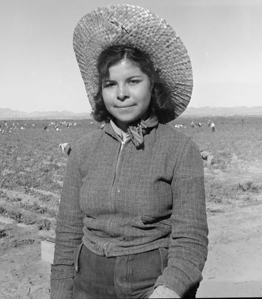 Dorothea Lange's 1939 photo of a young Mexican woman picking peas