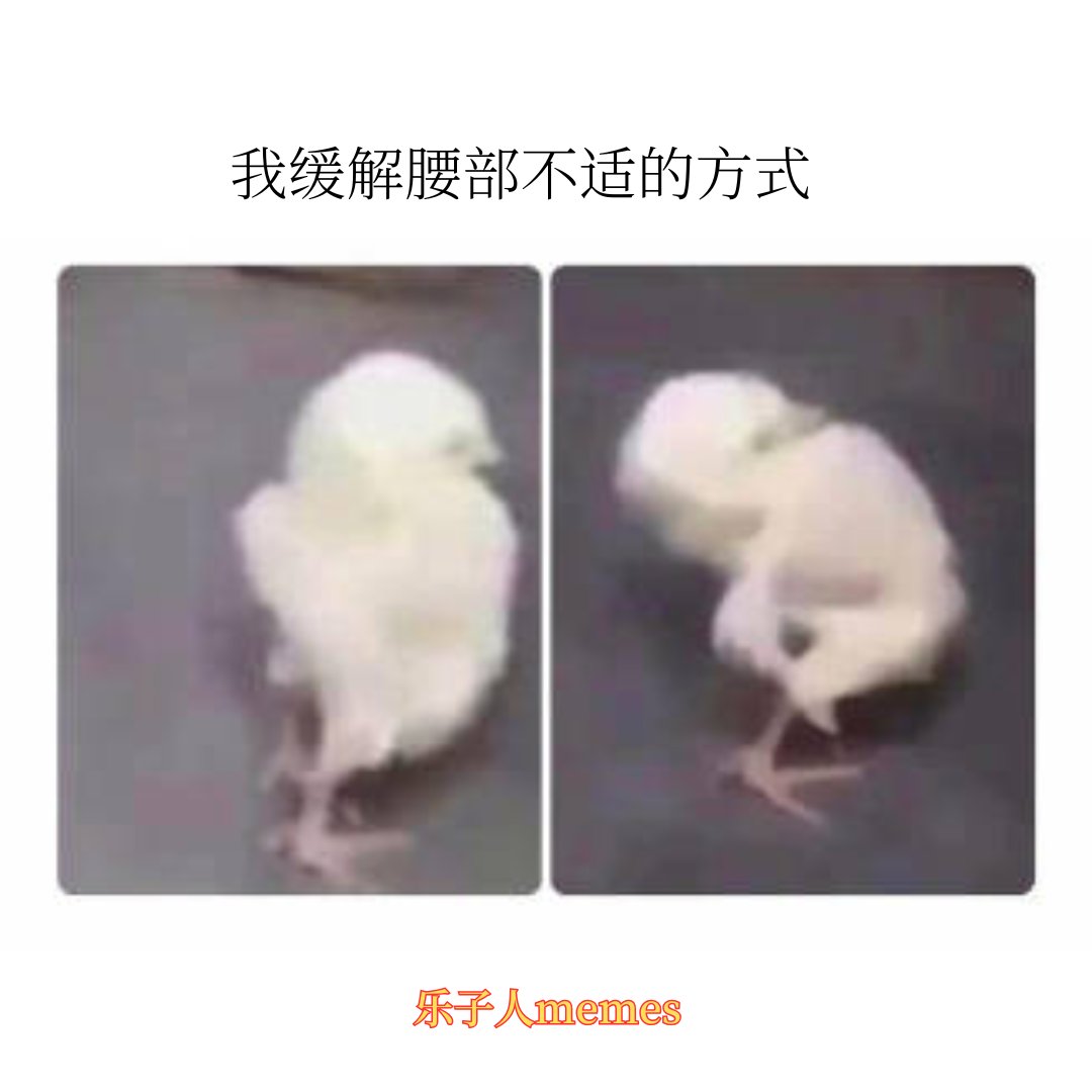 乐子人 MEMES