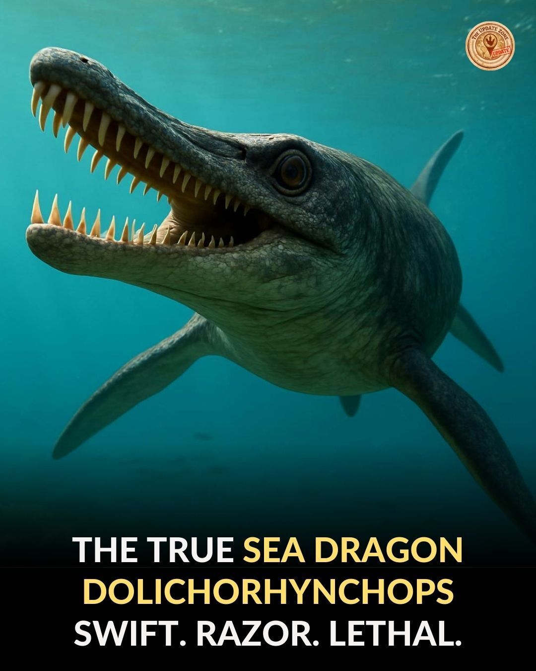 The Update - Meet the true sea dragon: Dolichorhynchops, a hunter built ...