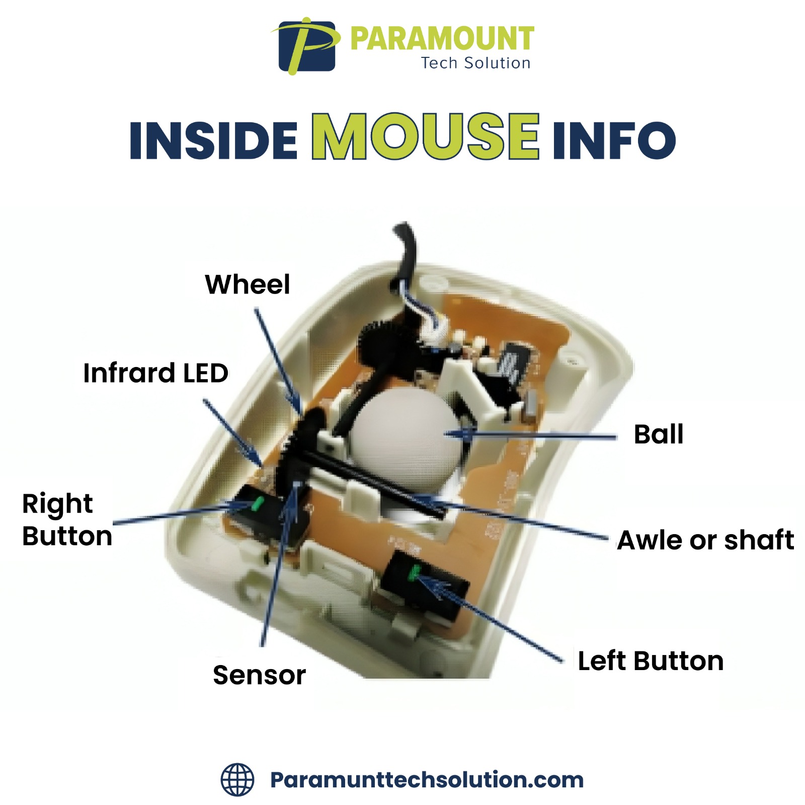 Paramount Tech Solution | Rawalpindi