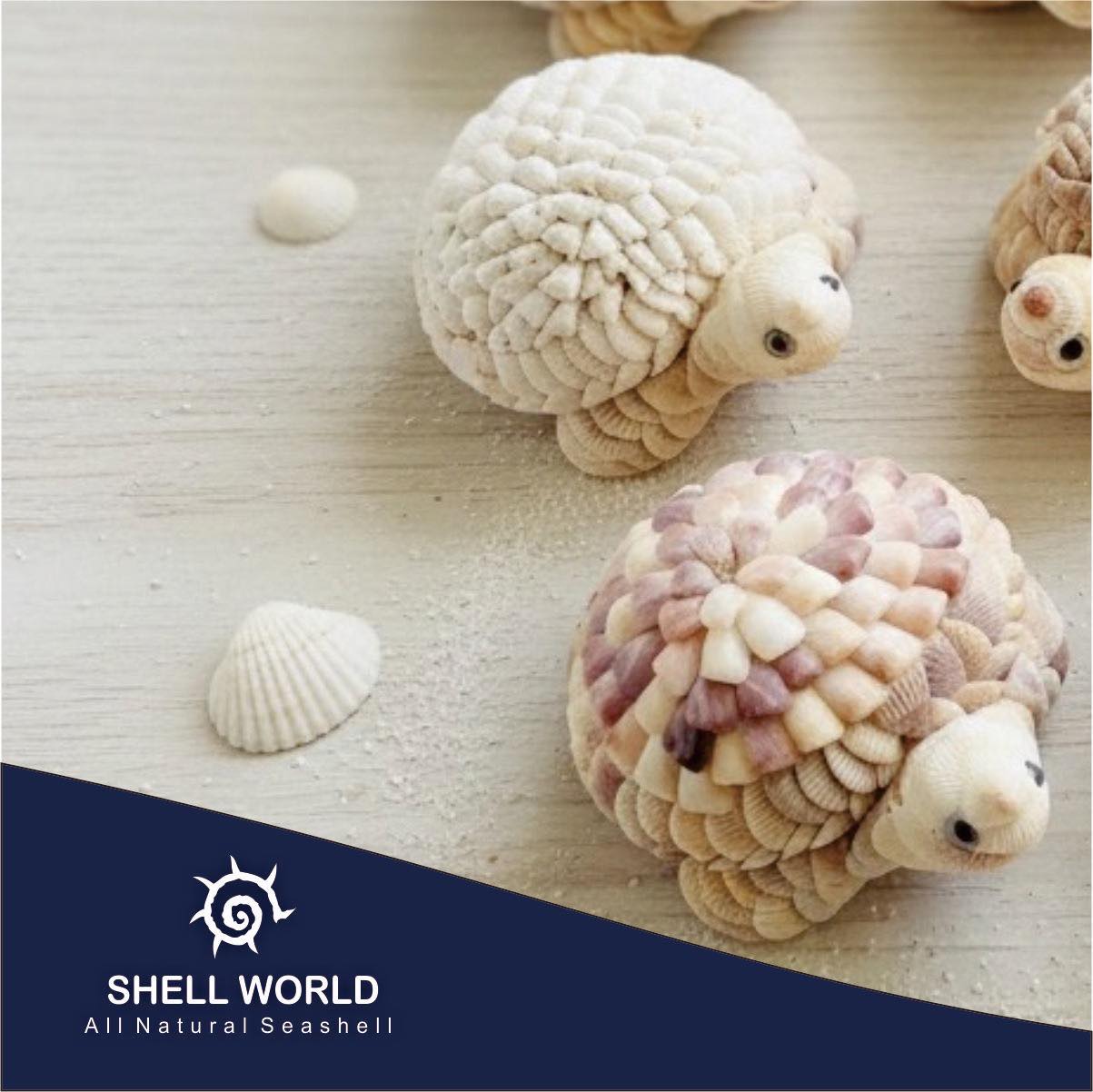 Shell World Phuket | Phuket