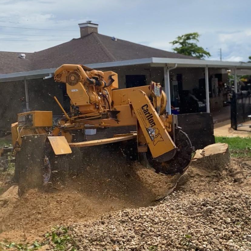 Stump Removal in Miami, Florida Call now for a FREE quote today! # ...