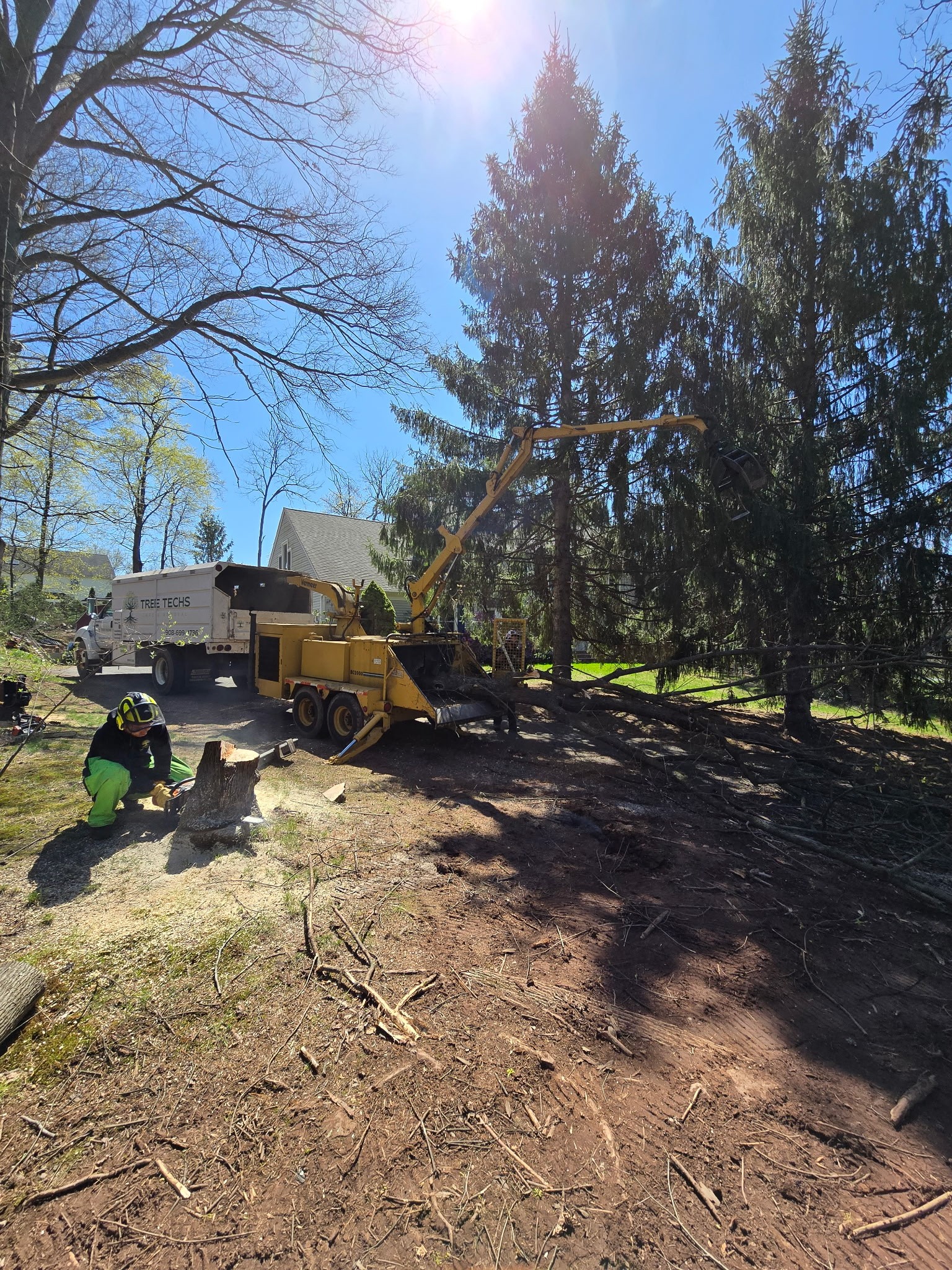 Tree Techs Care & Removal | Flemington NJ