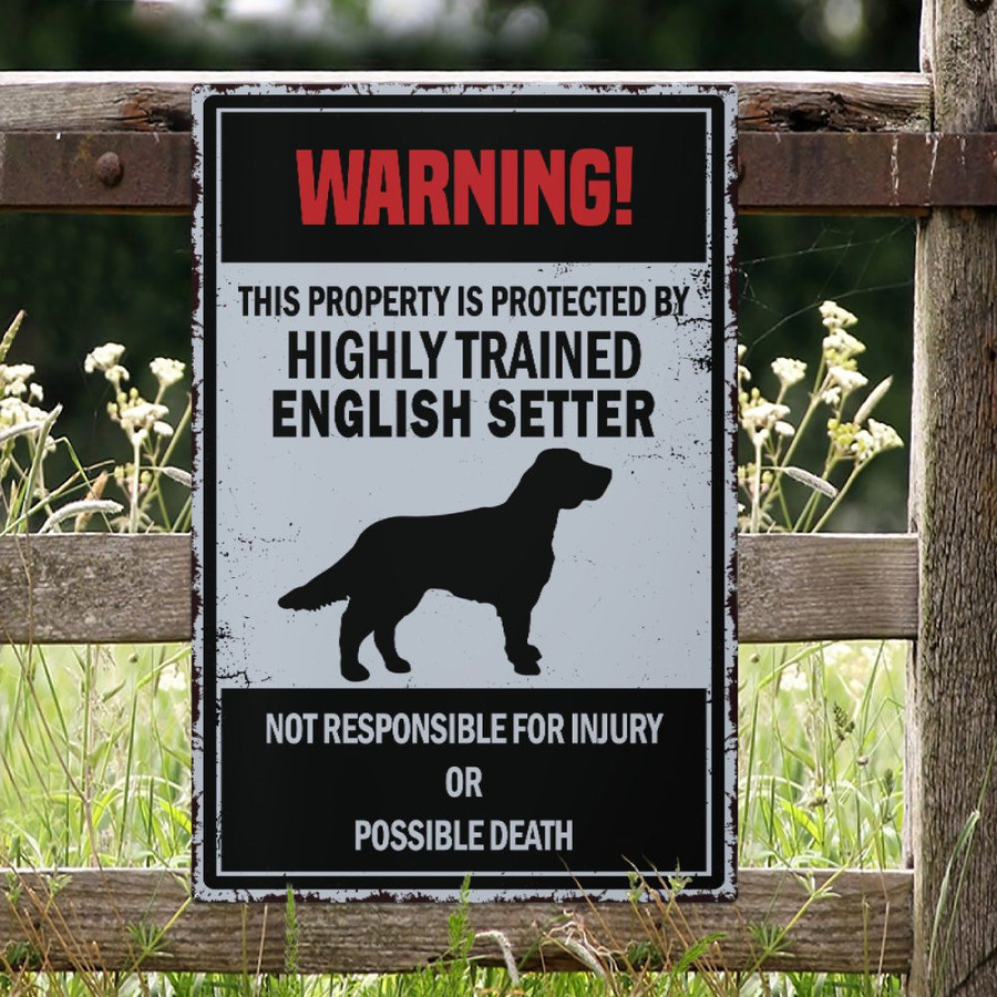 English setter unity look what i found can t wait to hear your