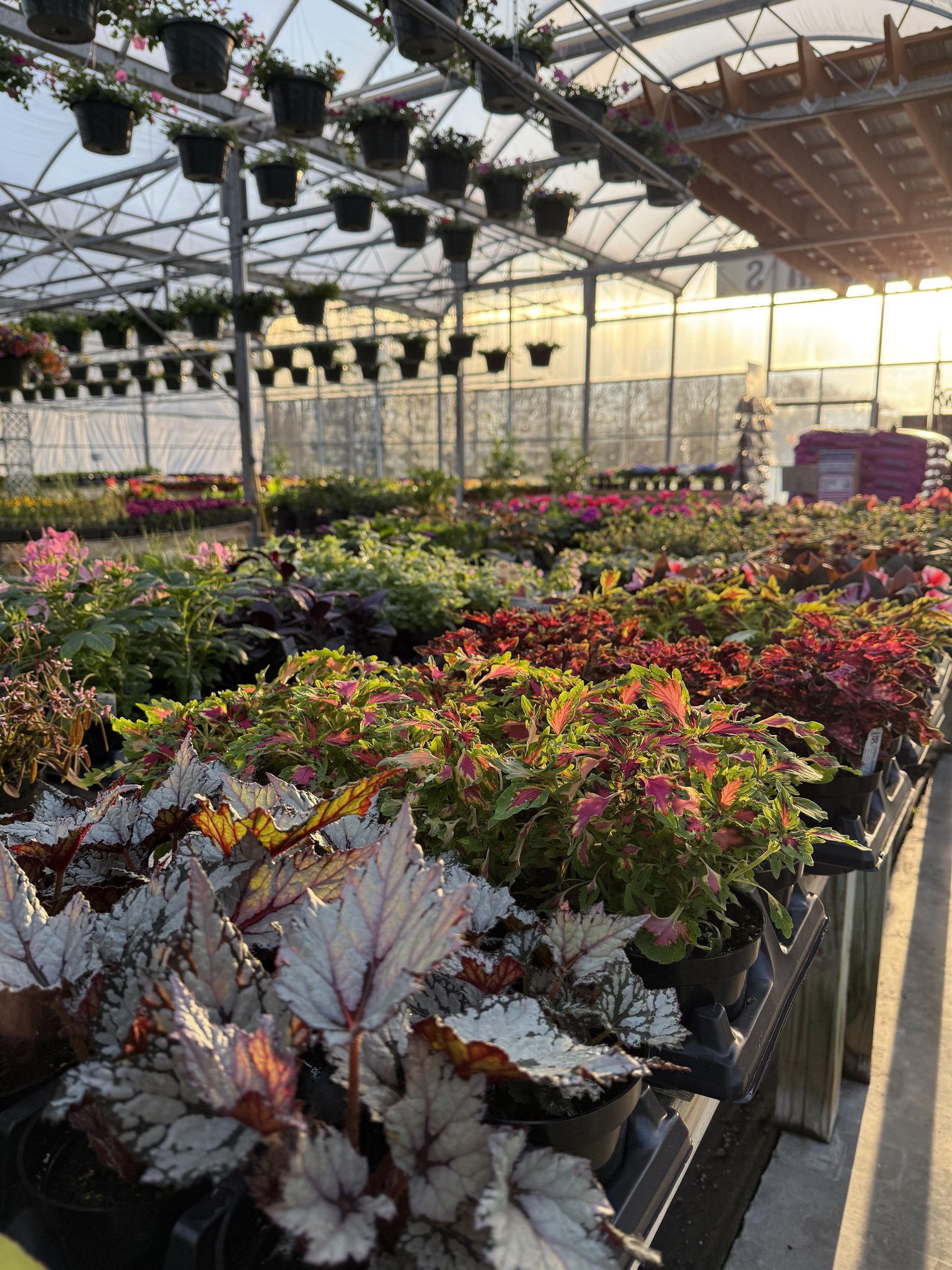 Root 58 Greenhouse | Elyria OH