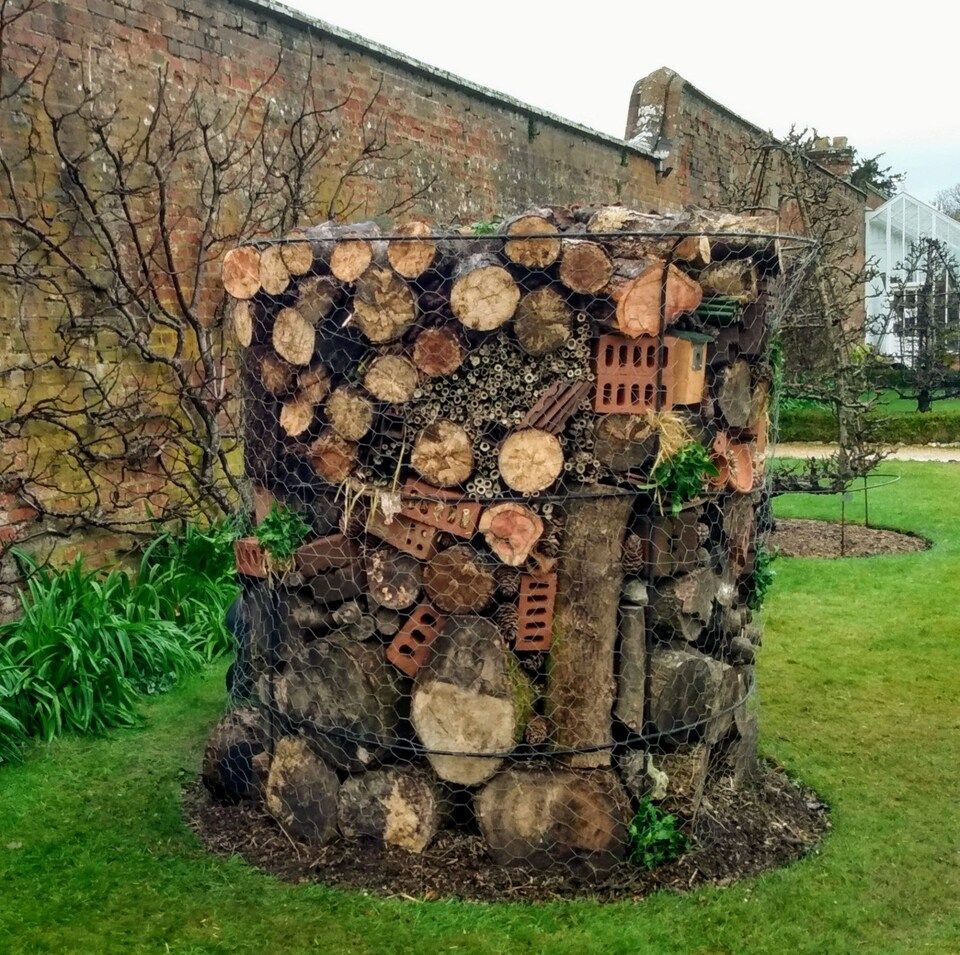 Gardening - I built an insect hotel by stacking logs, bricks, branches ...