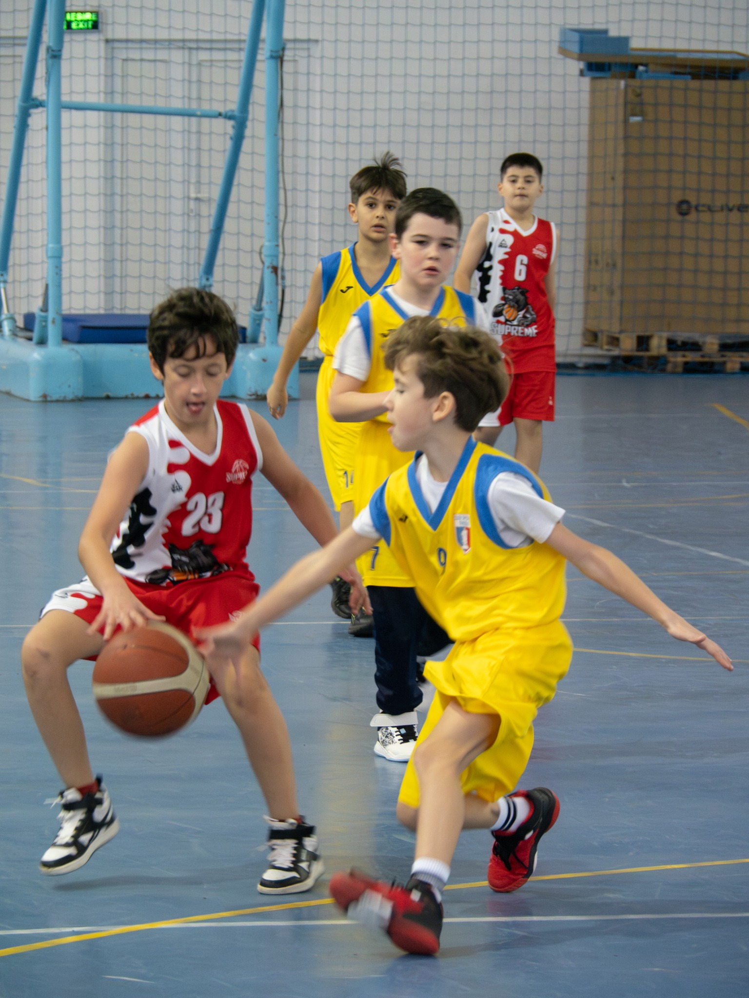 BASCHET CLUB SUPREME CONSTANTA | Constanta