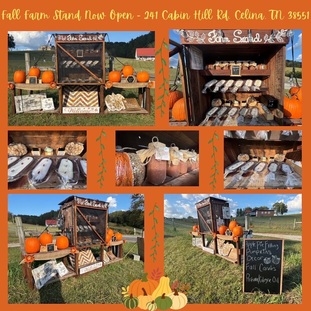Folklore - Fall farm stand now open at 241 Cabin Hill Road, Celina ...