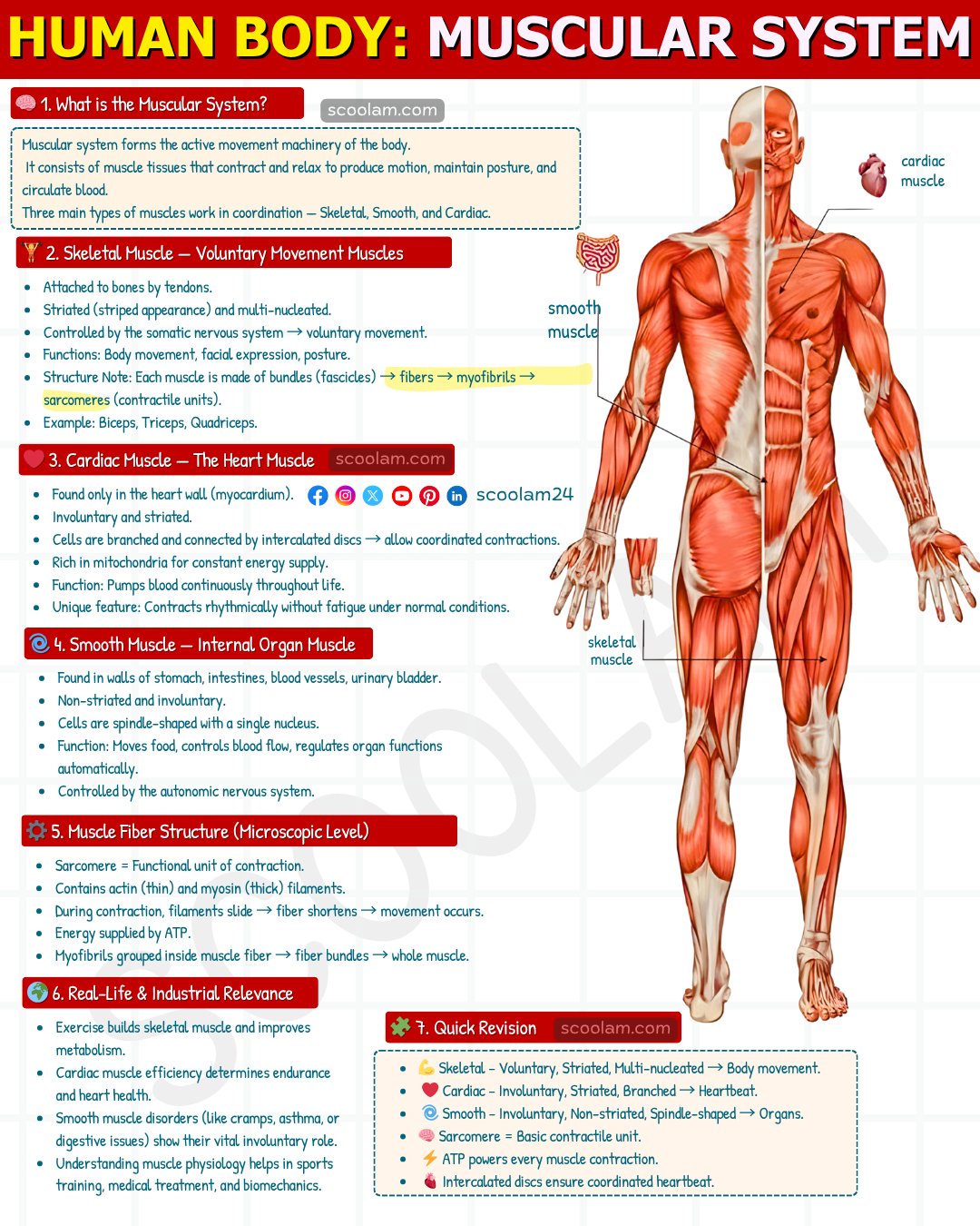 Scoolam - Have you ever wondered what really keeps you moving every ...