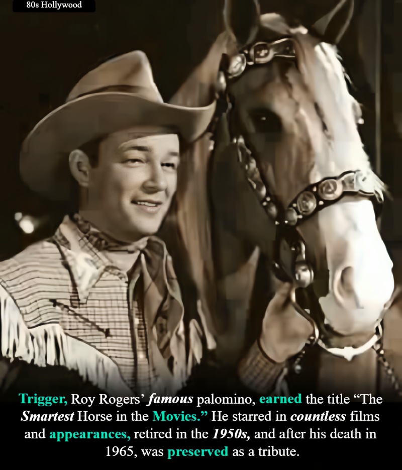 80s - Born in 1934, Trigger became Roy Rogers’ signature companion in ...