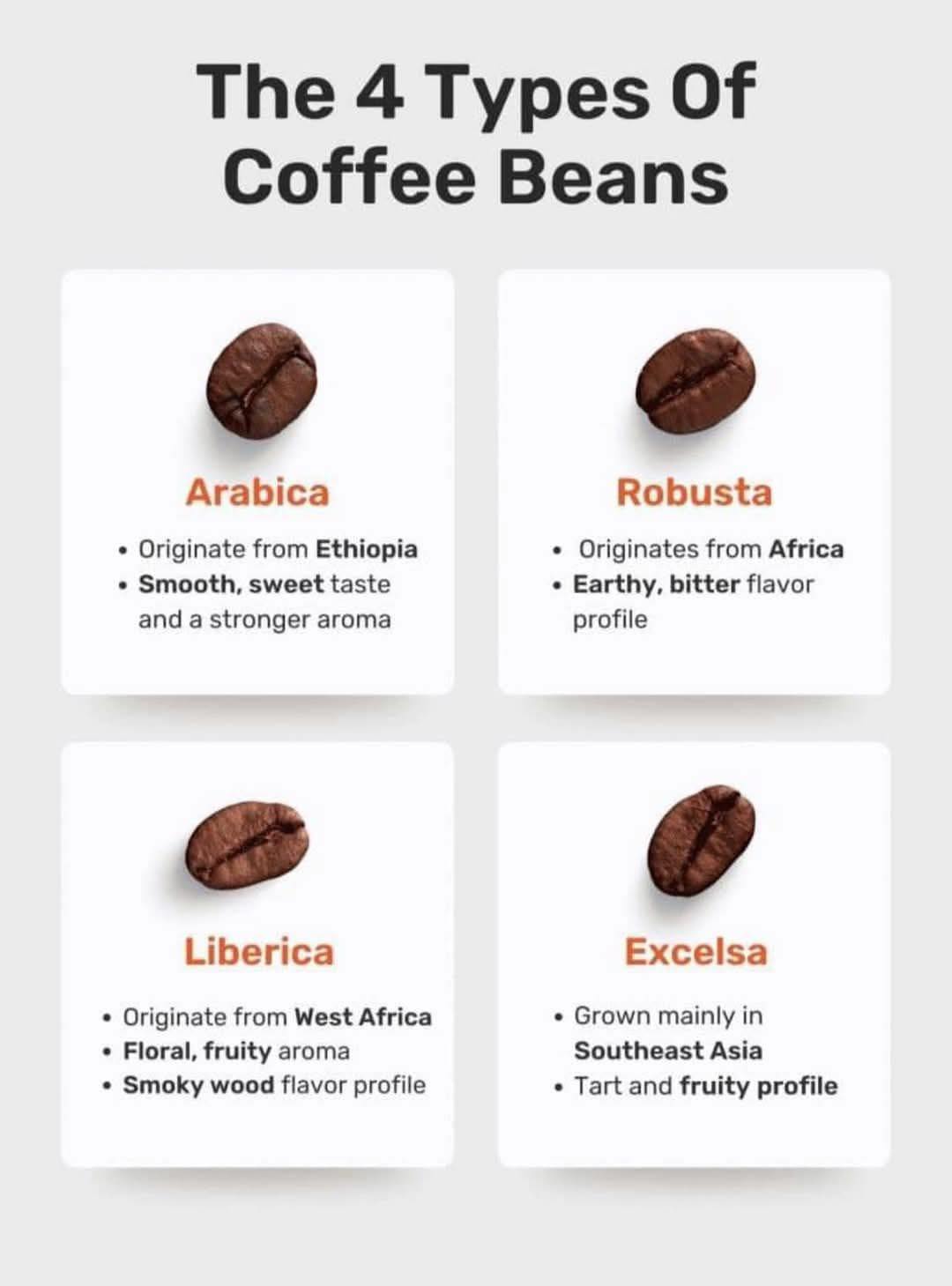 Simba Coffee Company - The four varieties of coffee beans and their ...