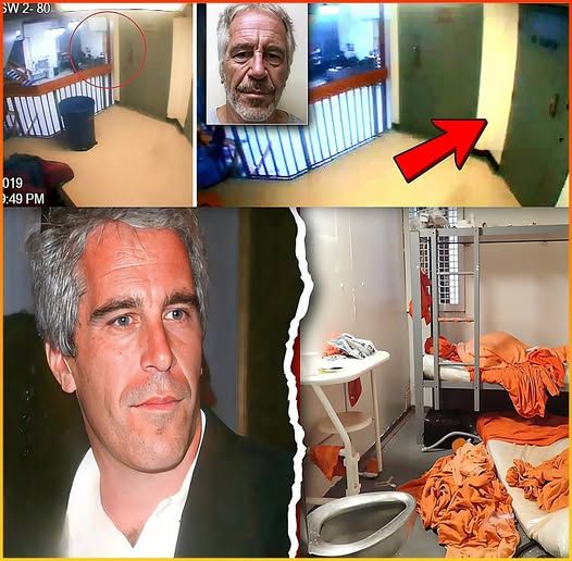 The Dog - 🔥 The cameras failed. The guards vanished. But the walls ...