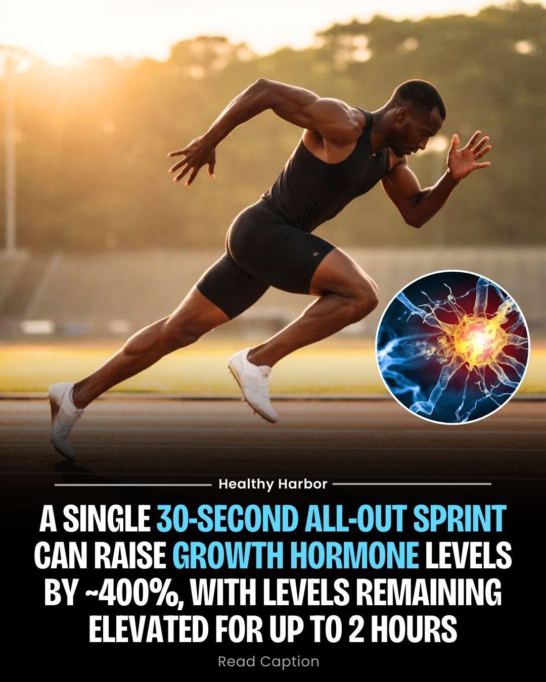 Healthy - The study by Stokes, Nevill, Hall, and Lakomy, titled “The ...