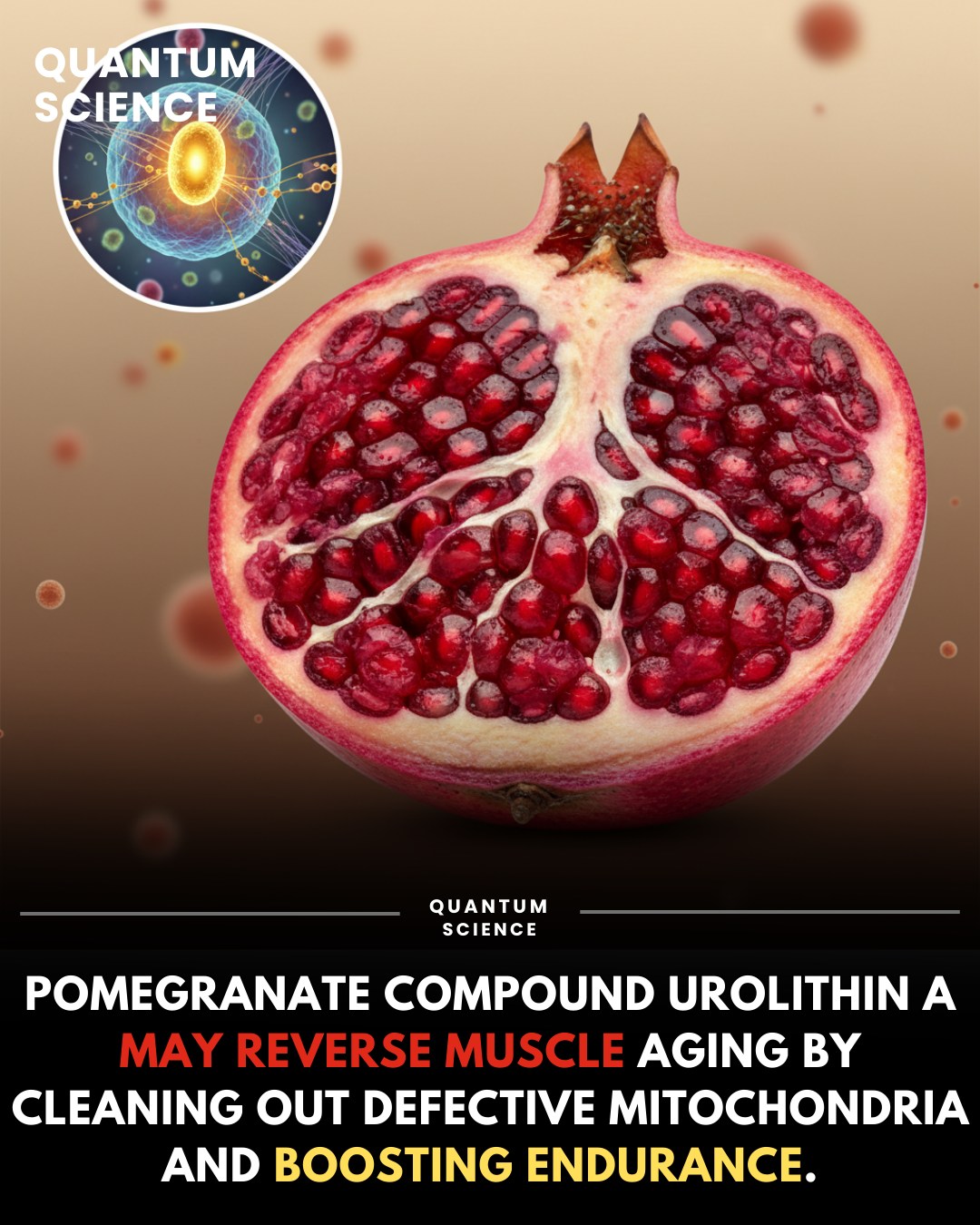 🍎 Pomegranate does something inside your body that most foods simply cannot. 💬 Comment ENERGY and I'll send you the full video and free download straight to your DMs 📩 🔬 Pomegranates