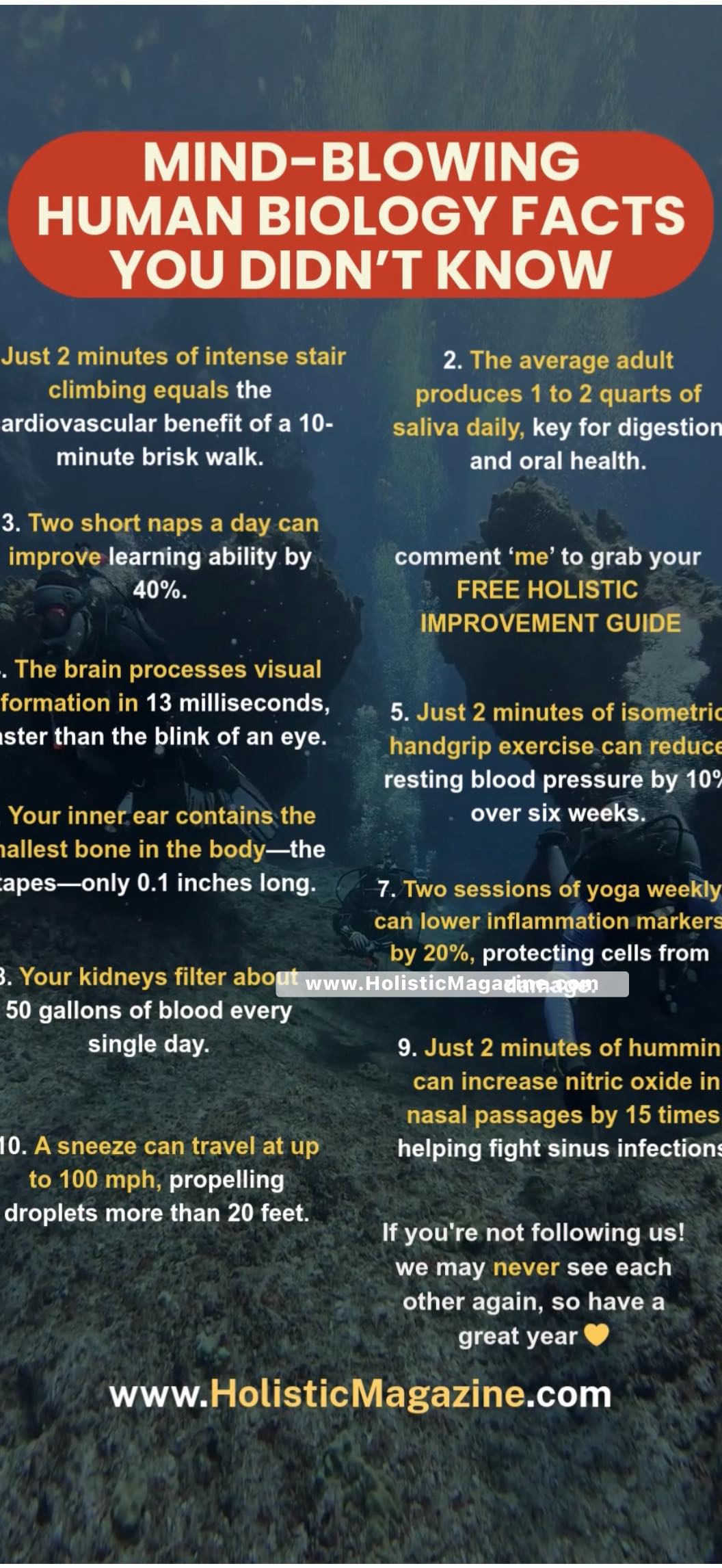 Wisdom of the Woods | Mind-Blowing Human Biology Facts You Didn’t Know ...