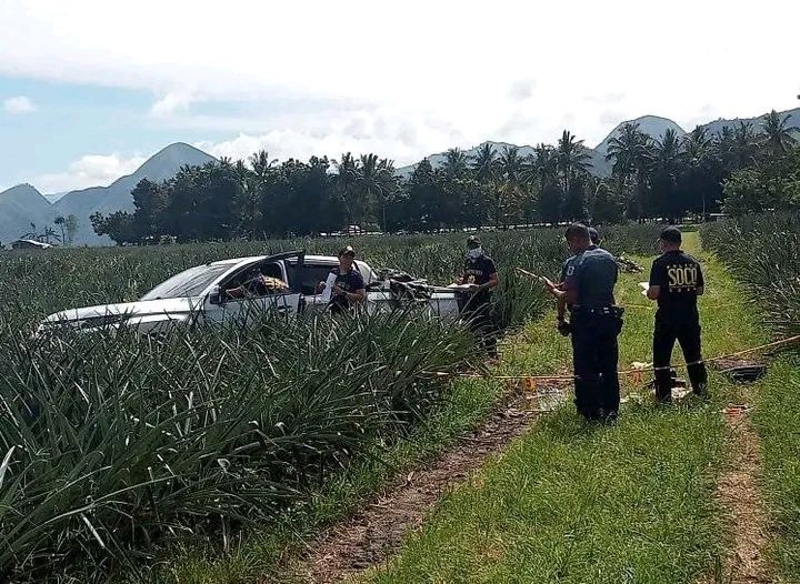 Bangsamoro - NAPATAY NG MGA SECURITY GUARD ANG UMANOY NAGNAKAW NG PINYA ...