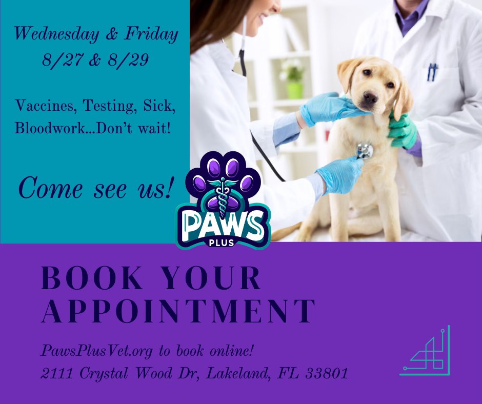 Paws Plus Veterinary