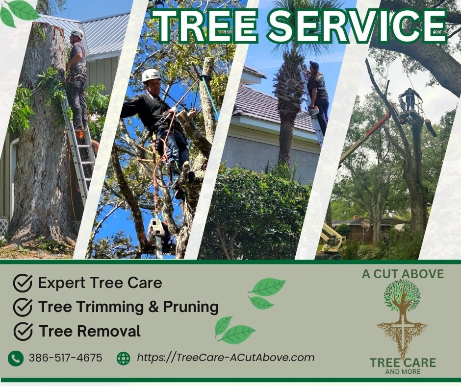 Florida Small Business Network | Our tree service experts are here to ...
