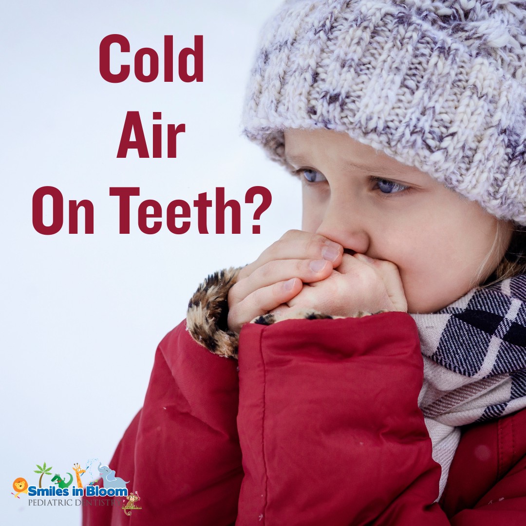 Smiles in Bloom Pediatric Dentistry | East Windsor CT