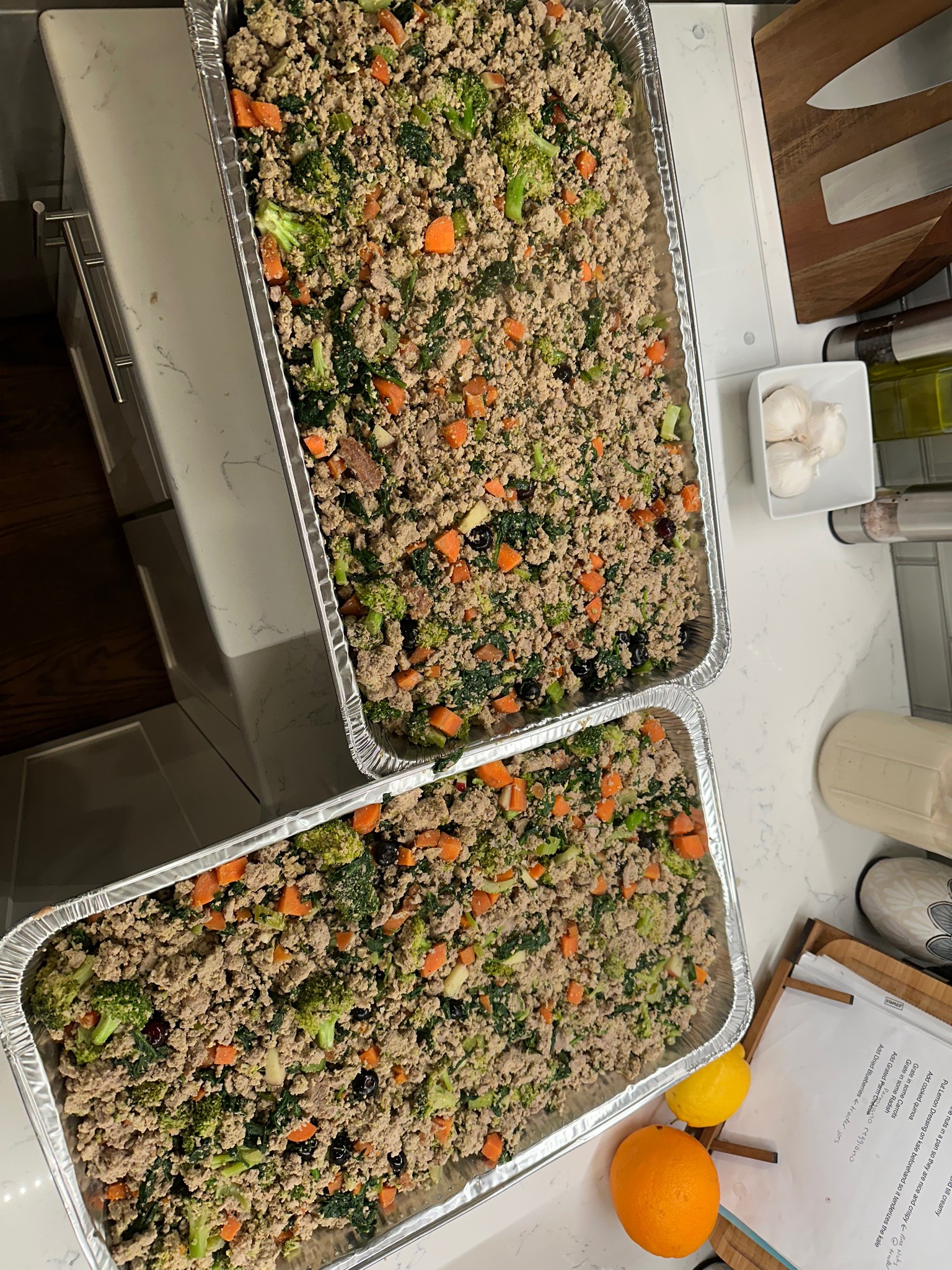 homemade cat food | Two weeks worth of food for my 10 year old pitty ...