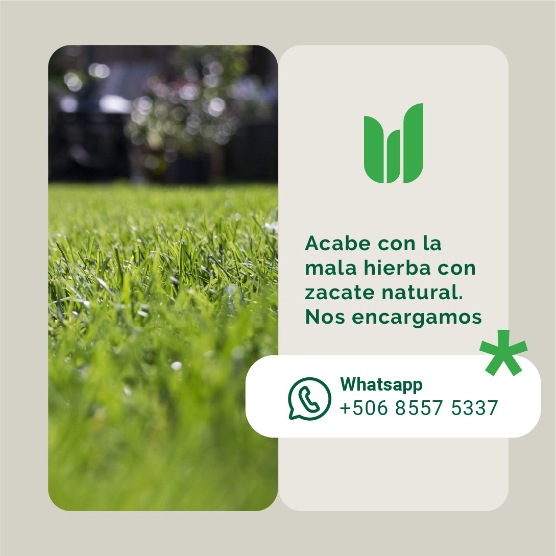 Zacate Tierra Fértil | Alajuela