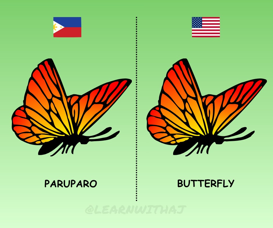 Filipino Words for Different Insects