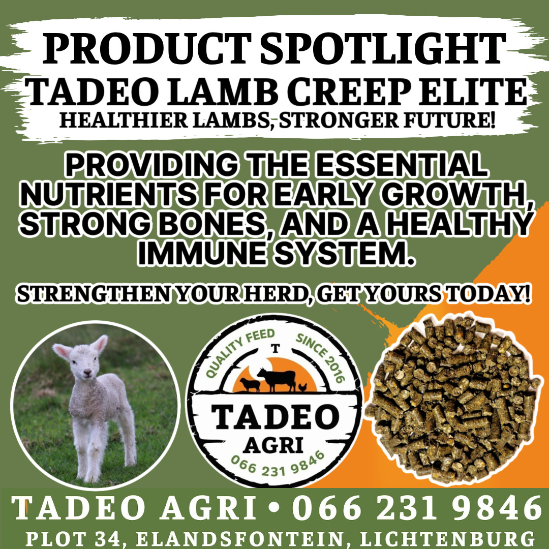 Tadeo Agri - Quality Feed | Lichtenburg
