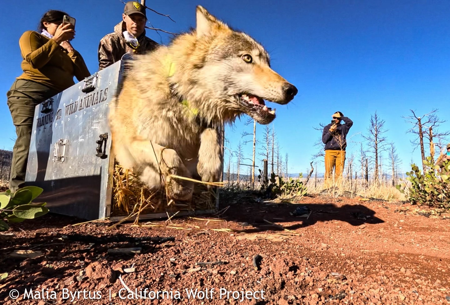 California - The California Department of Fish and Wildlife (CDFW ...