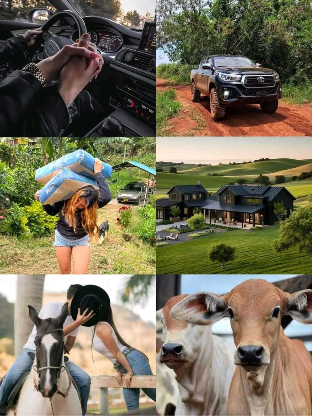 Ik Mldt Coreg
