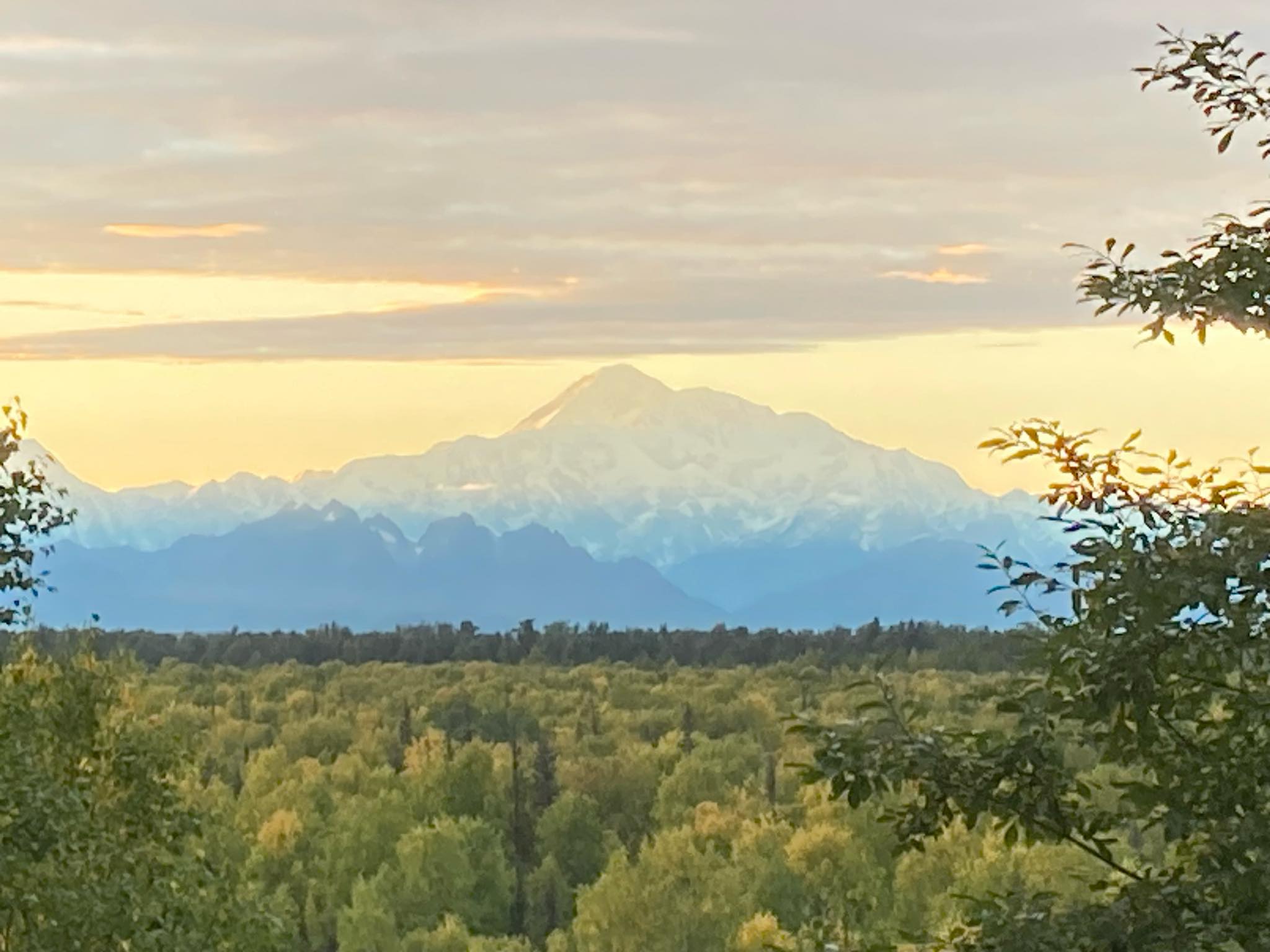 Talkeetna Trail Race | Talkeetna AK