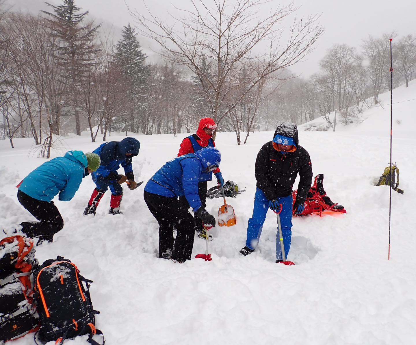 神奈川県山岳連盟 - 【参加者募集中】3/2(日) 雪崩講習会 雪崩ビーコンによる埋没者の捜索と救出に重点を置いた講習です。 ️詳しくは ...