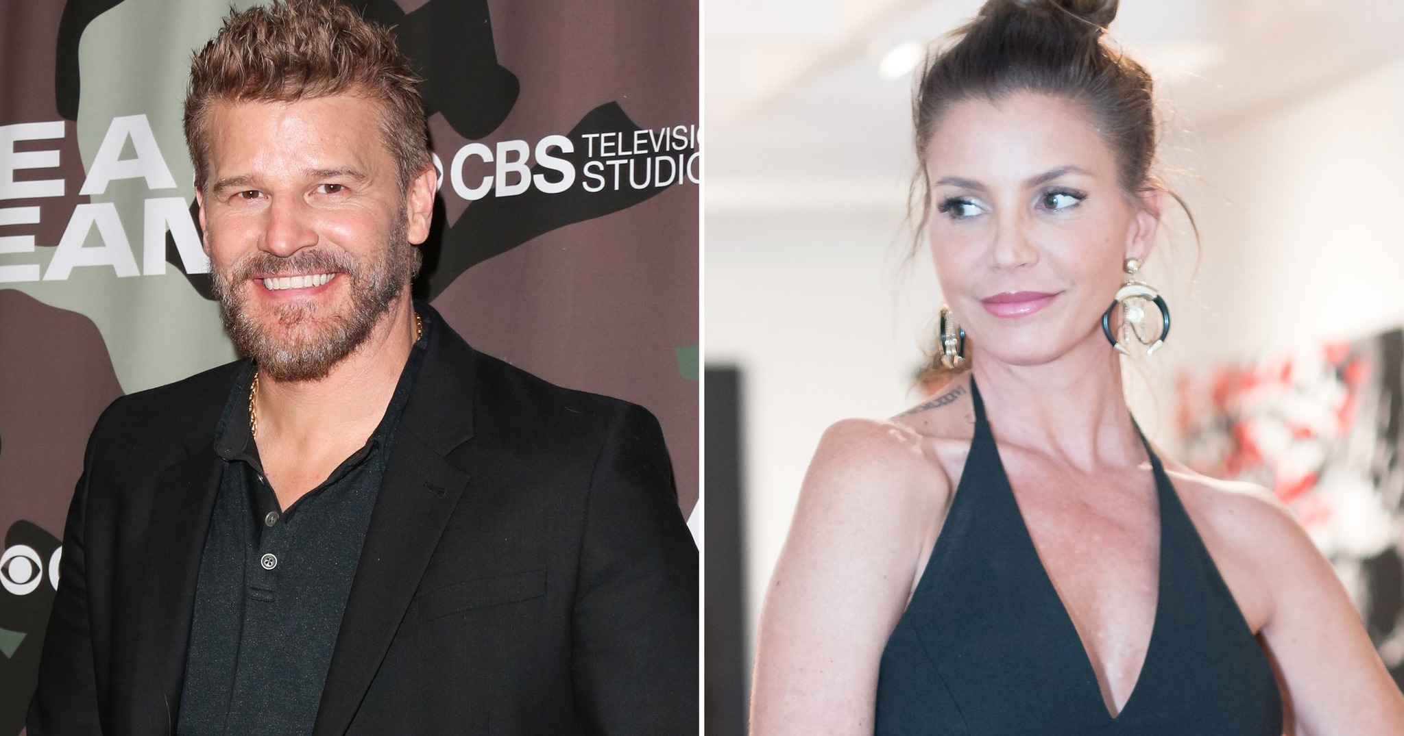 seal-how-david-boreanaz-s-defense-of-charisma-carpenter-during-the