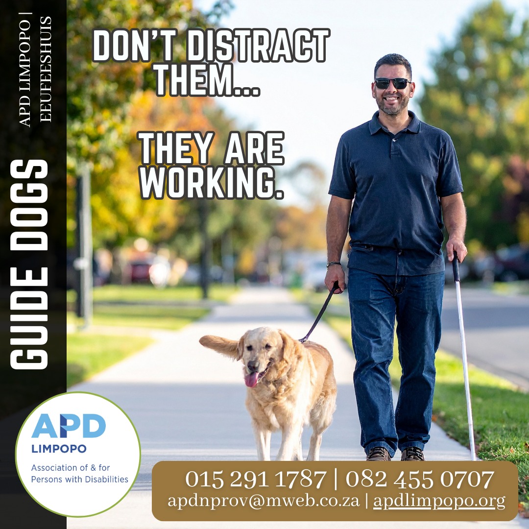 APD - 🦮 Guide Dogs Are Working – Please Don’t Distract Them! Many ...