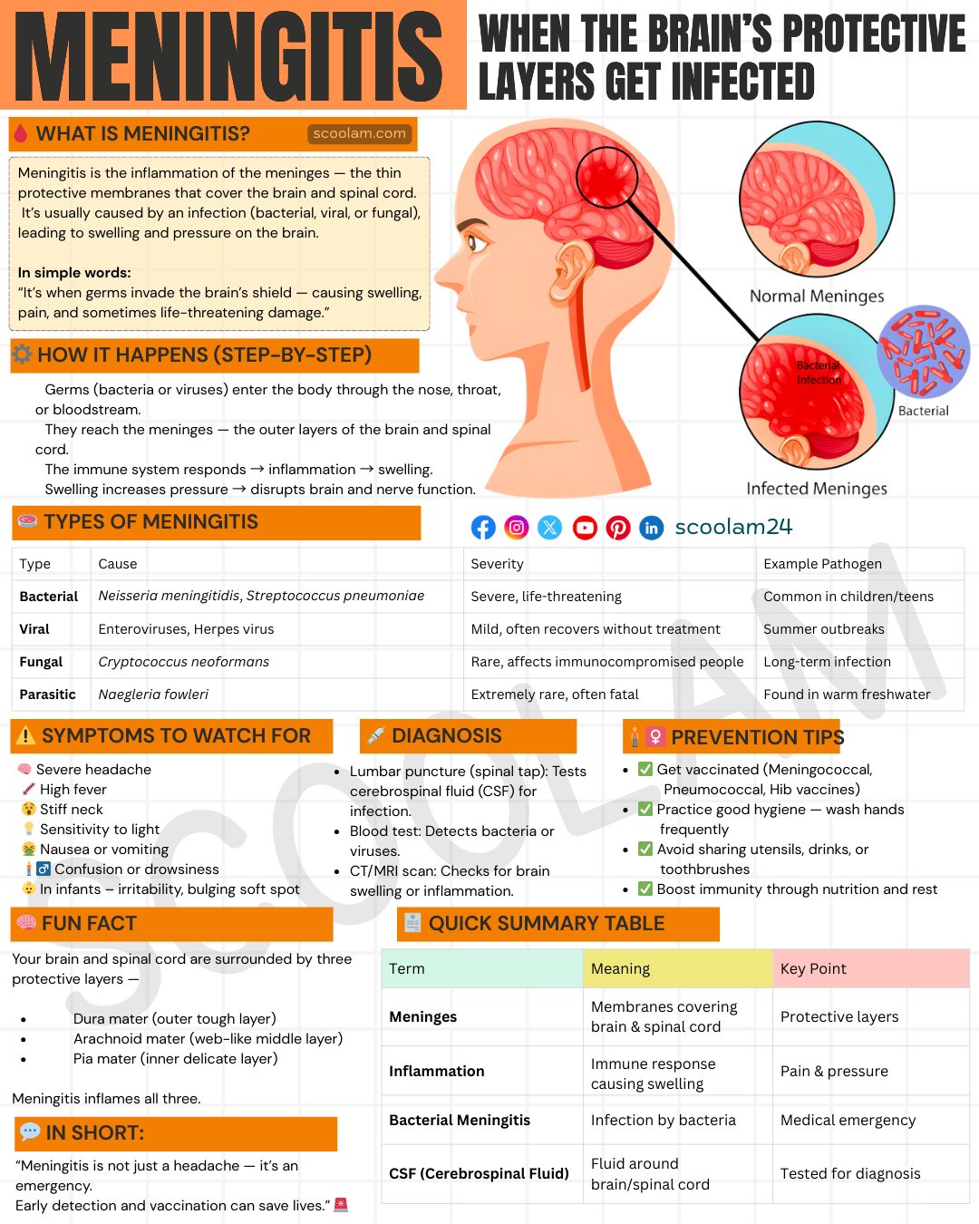 Scoolam - Most people think meningitis starts like a regular fever. By ...