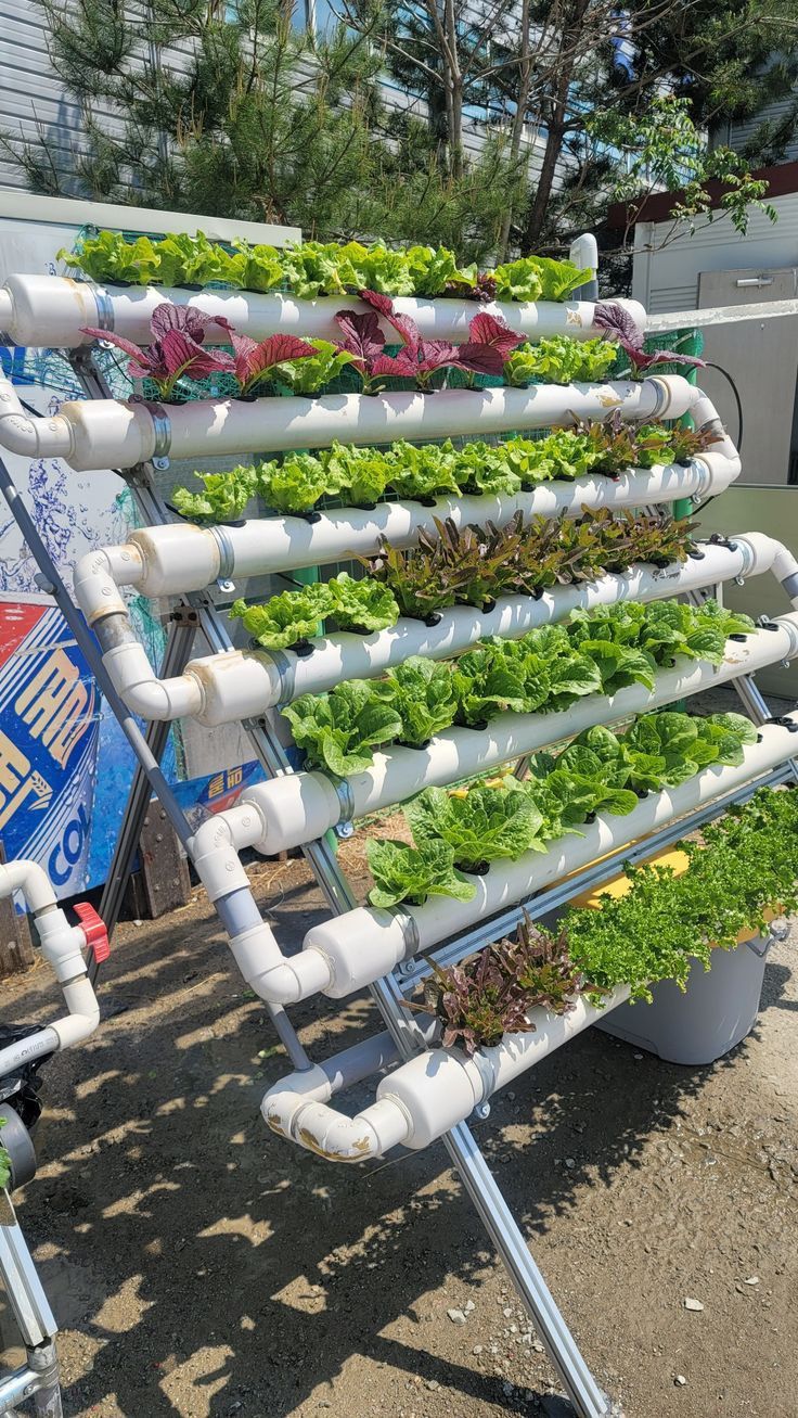 Garden - Useful PVC Pipe Garden Projects | Facebook
