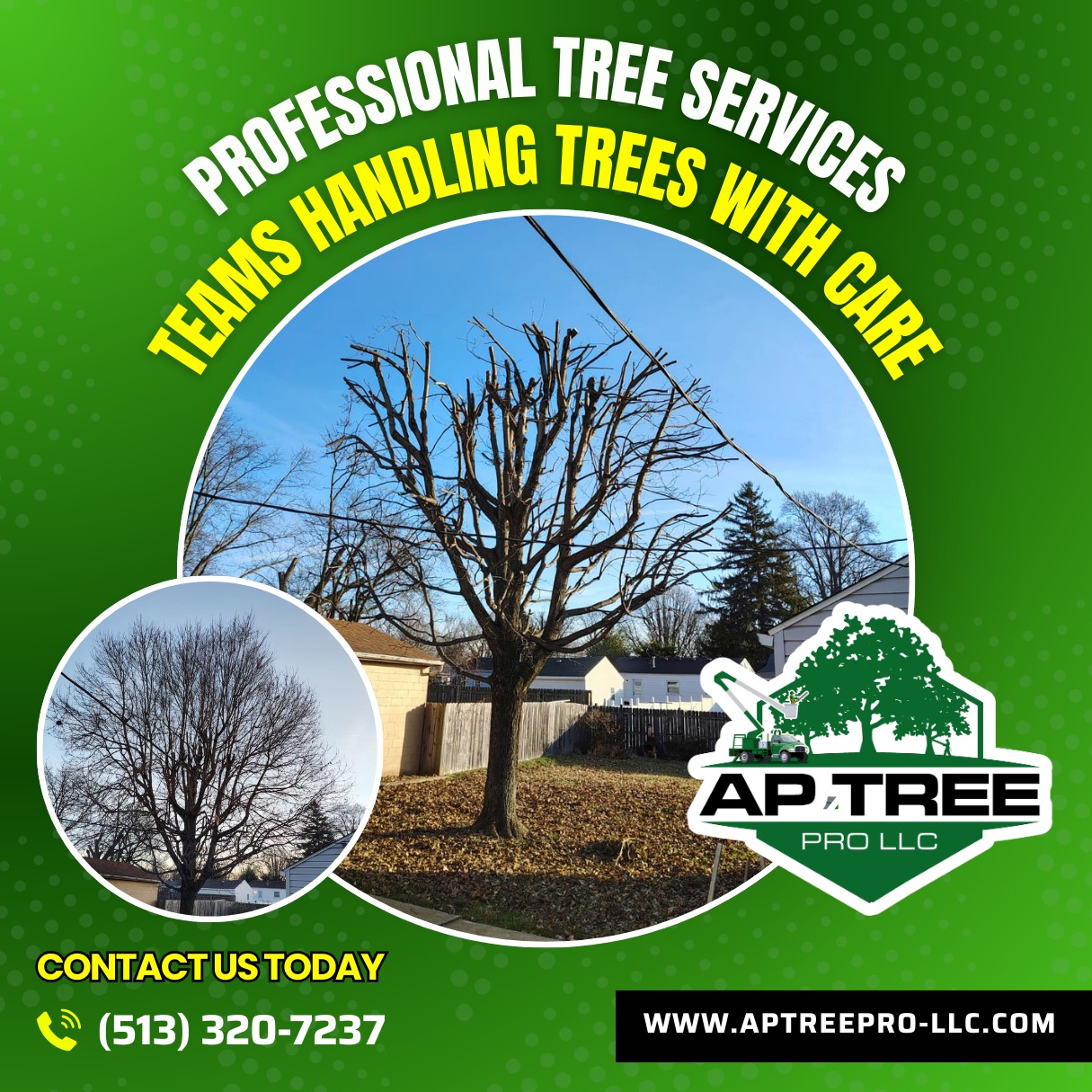 AP Tree Pro LLC | Middletown OH