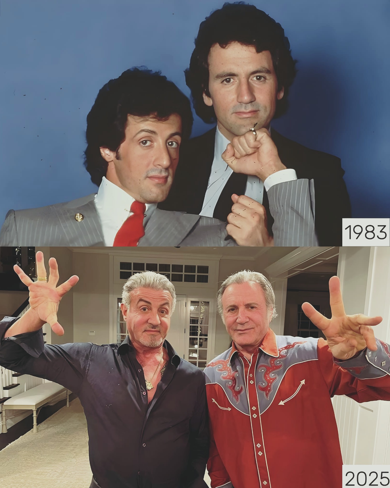 Frank Stallone and Sylvester Stallone are brothers. Sylvester is 