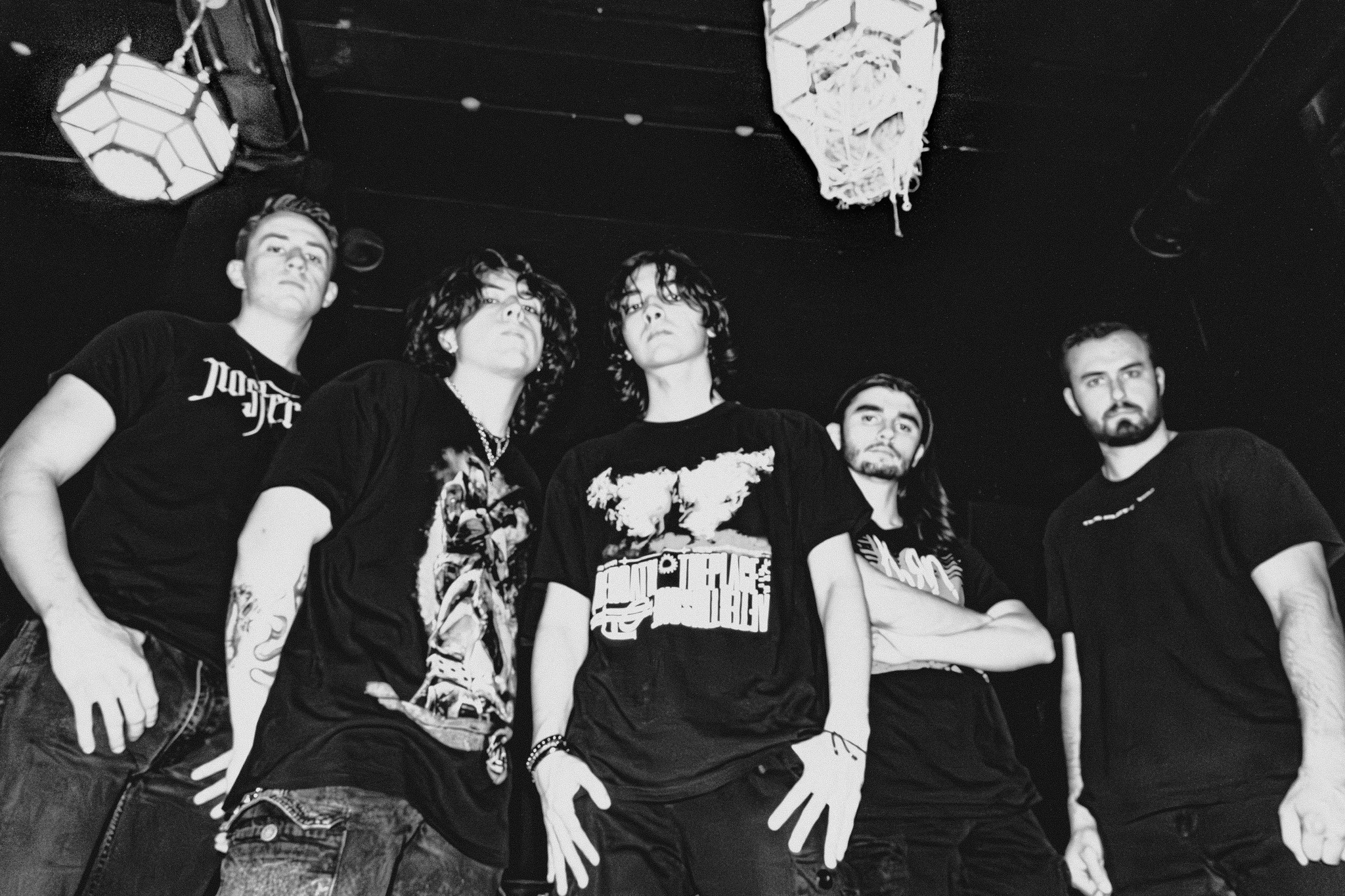 Coraline's Collapse | Gainesville FL