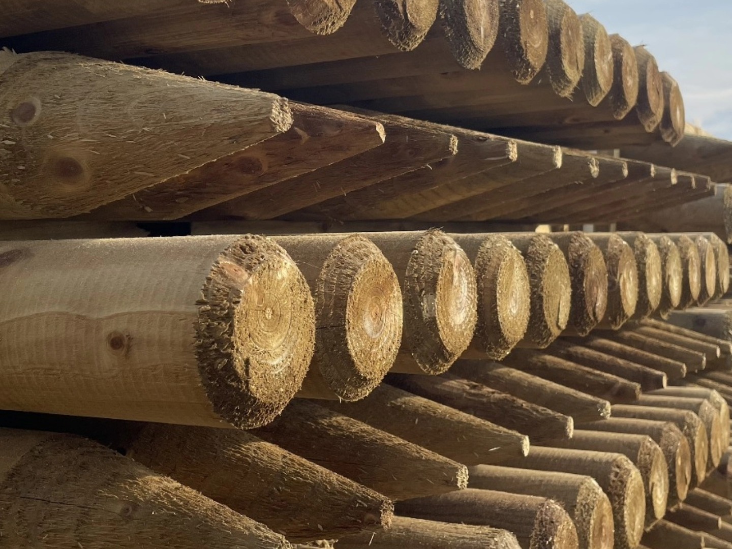 MRM TimberCrafter Ltd | Cork