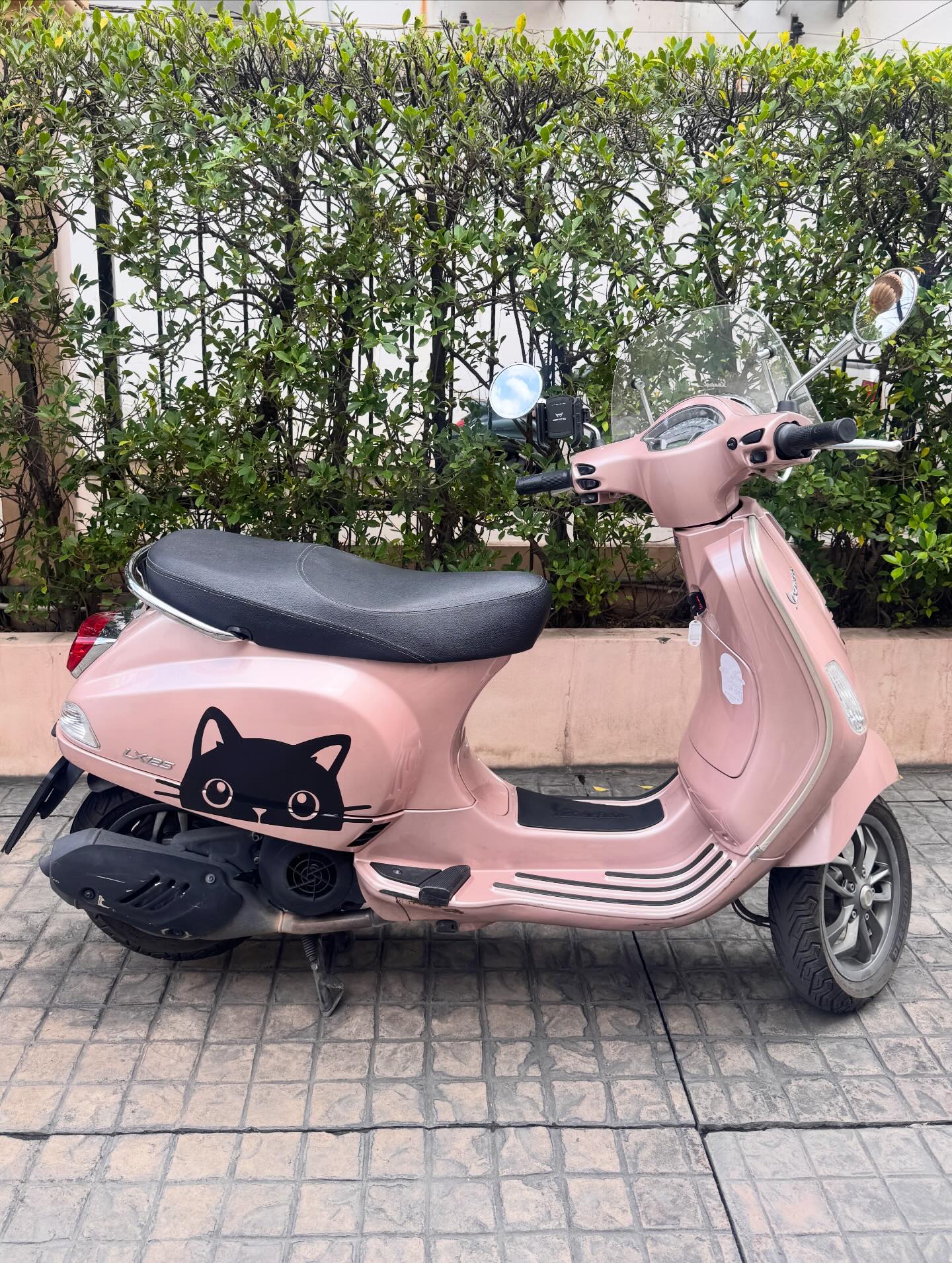 Lx 125 Piaggio Vespa Rosa Lx 125 Vespa Scooter Vespa Rosa Prezzo 